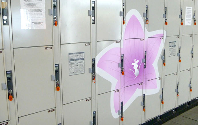 Medium coin-operated locker